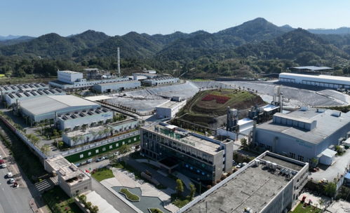 一月一主题6月主题采访活动举行