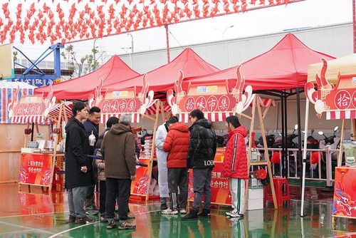 上海奉贤上演龙年 村晚 ,百姓文艺 非遗文化唤醒 年味