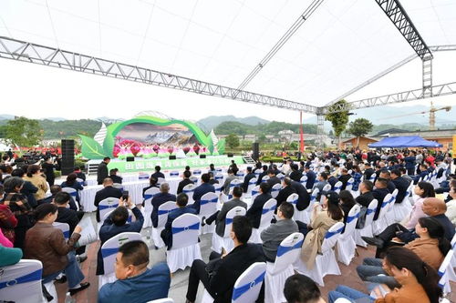 山中鼎沸为茗香 保康县第四届茶文化旅游节活动侧记