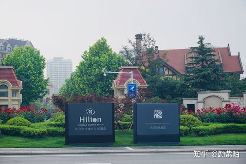 在零秒科技工作是怎样一种体验