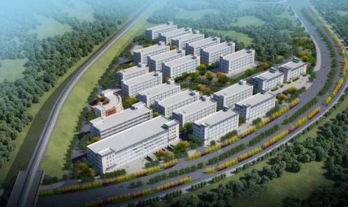 占地225余亩 罗平这一产业园建成后将提供就业岗位5000余个