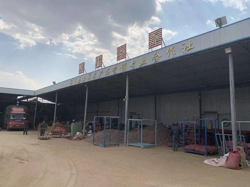 一天销售近70万元,什么渠道这么牛