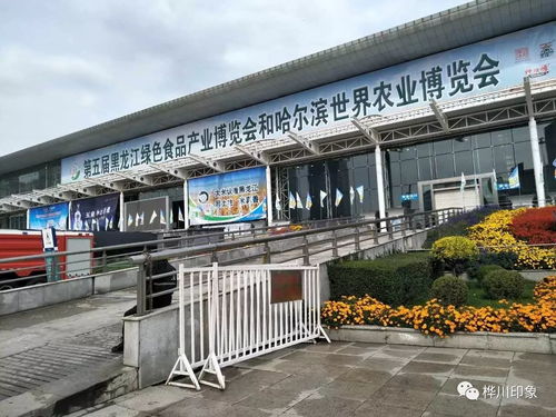 桦川县名优农产品亮相第五届黑龙江绿色食品产业博览会
