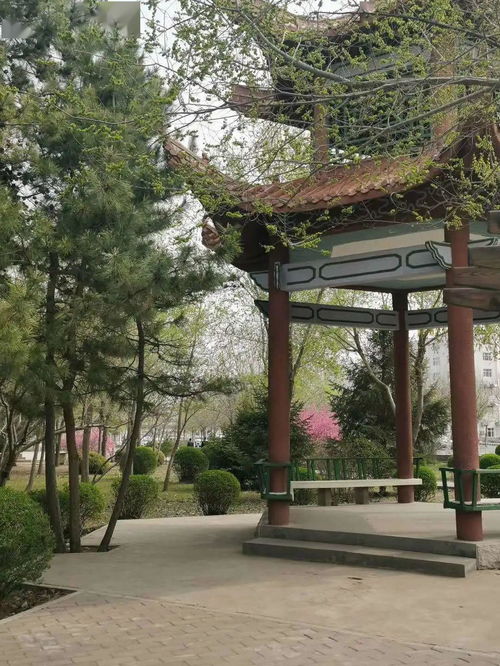旅行 送你一份开鲁游玩攻略,莫负好春光