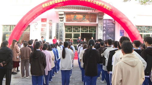 宁夏固原青铜器亮相保亭 精品云集促进两地文化交流