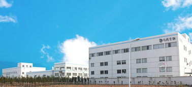 红石梁集团发展历程