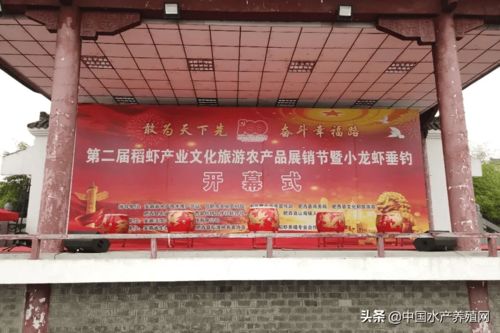 肥西第二届稻虾产业文化旅游农产品展销节暨小龙虾垂钓活动成功举办