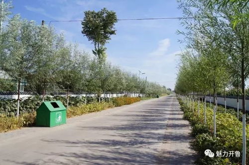带你领略 开鲁模式 开鲁风景 开鲁指数 开鲁力度